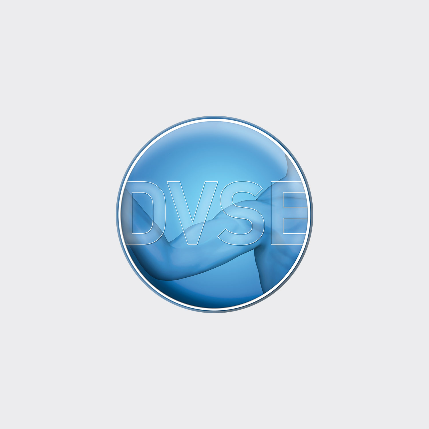 Logo DVSE, jpg-Format, 1500x1500